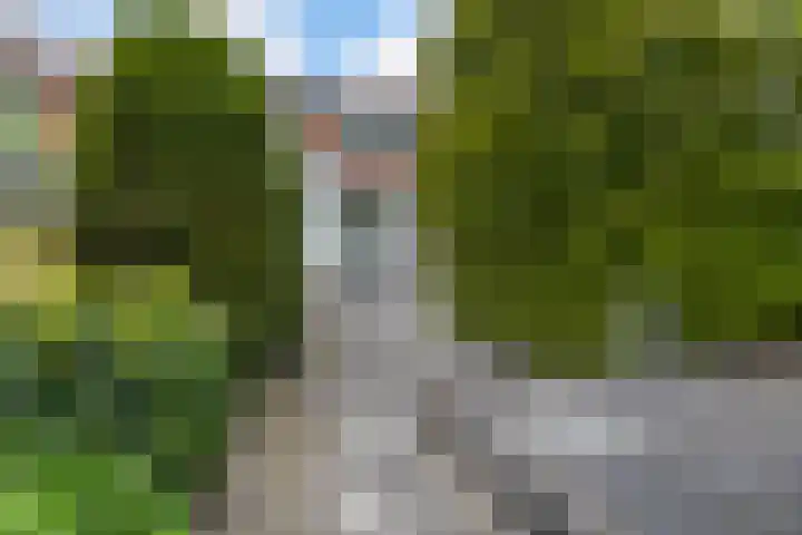 Brédyk 61 Goutum thumbnail 21