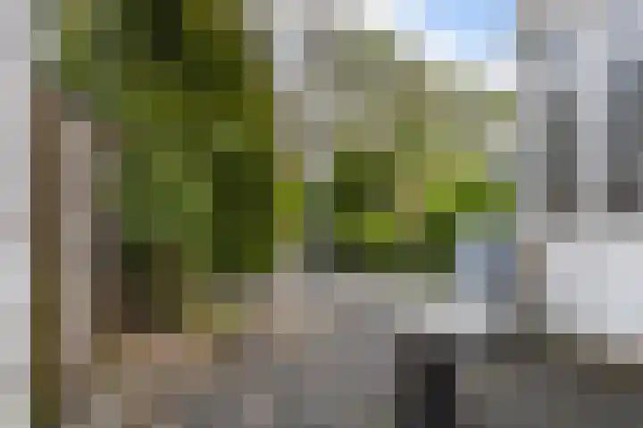 Brédyk 61 Goutum thumbnail 22