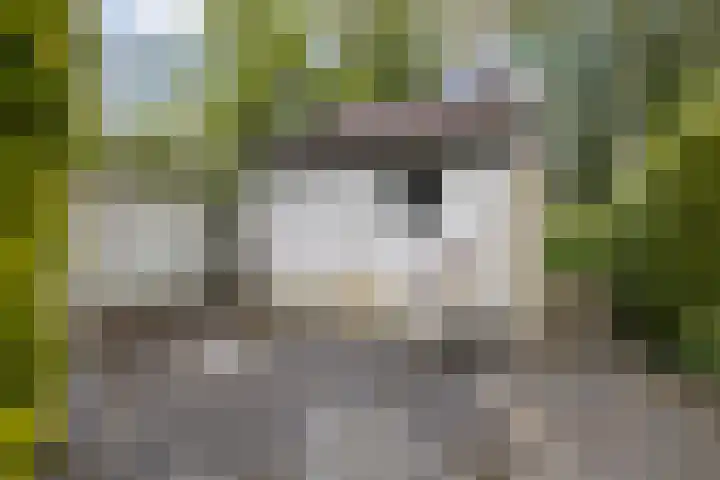 Brédyk 61 Goutum thumbnail 23