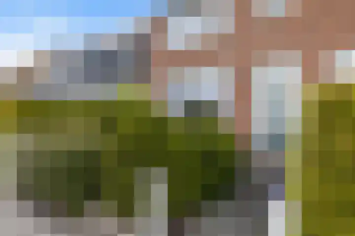 Brédyk 61 Goutum thumbnail 24