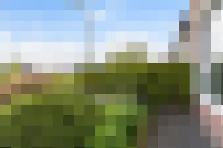 Brédyk 61 Goutum thumbnail 25