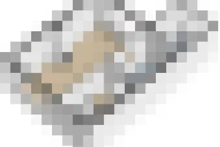 Brédyk 61 Goutum thumbnail 34