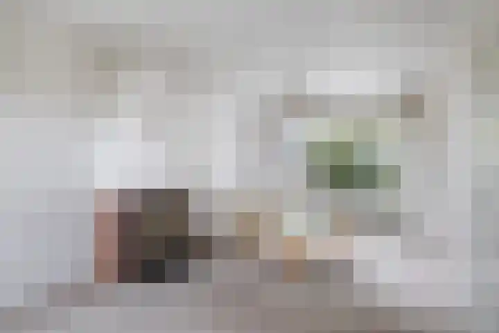 Brédyk 61 Goutum thumbnail 4