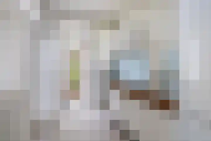 Brédyk 61 Goutum thumbnail 6
