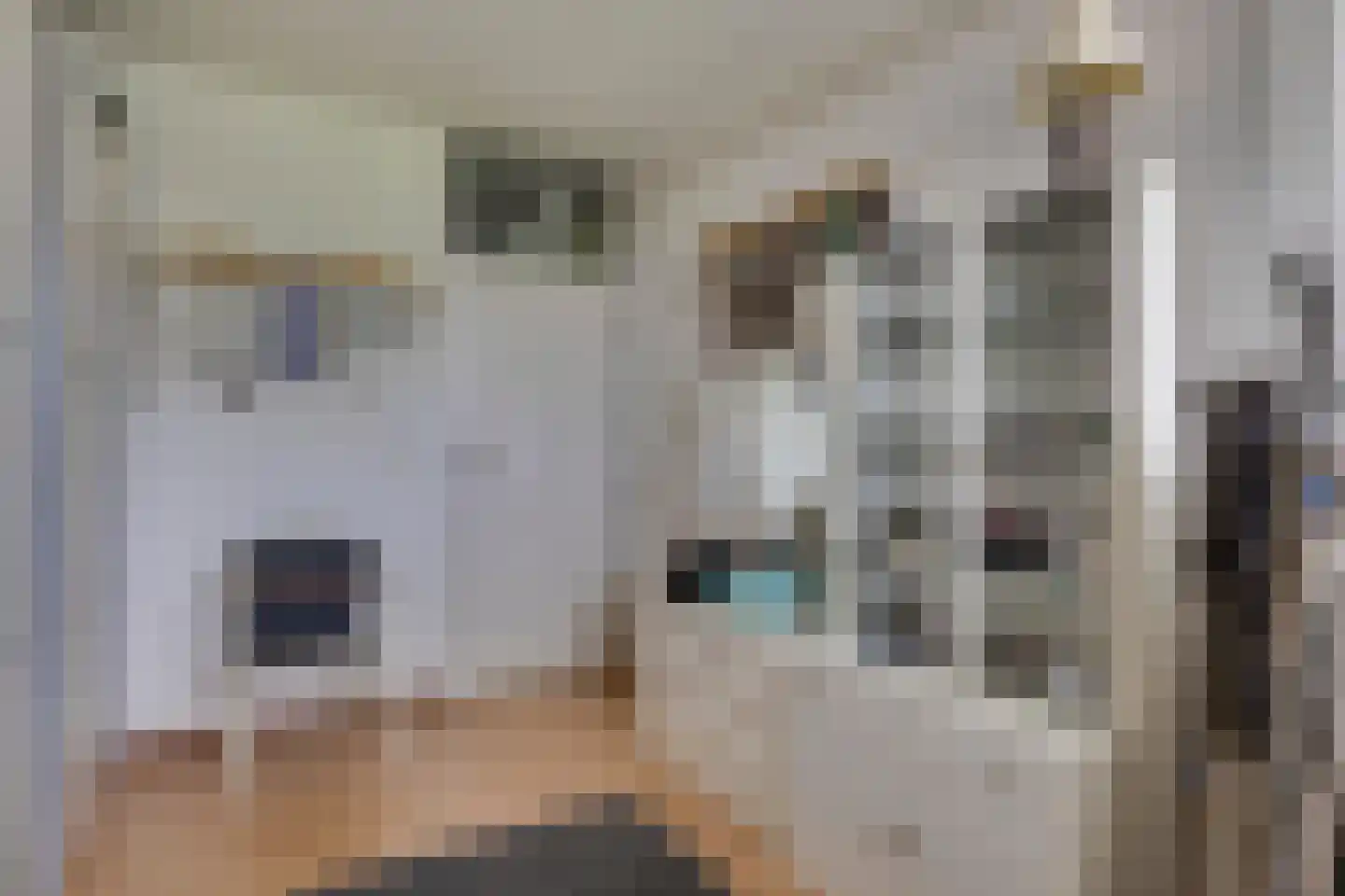 Bree 107 Veldhoven thumbnail 30