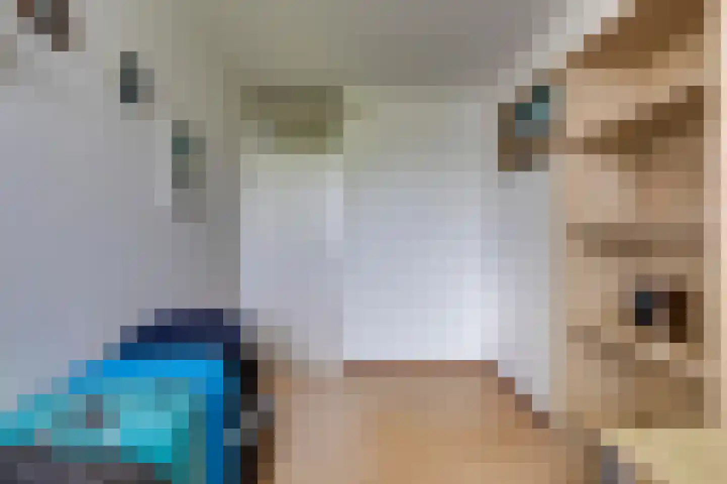 Bree 107 Veldhoven thumbnail 32