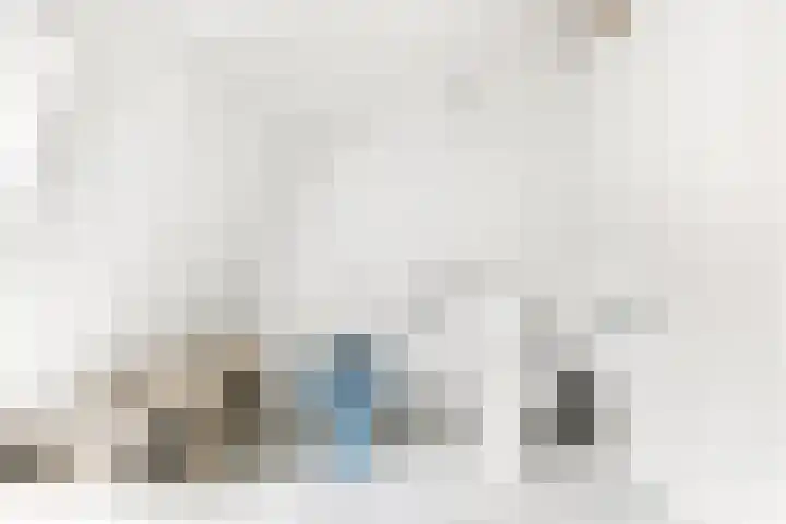 Bree 12 Middelburg thumbnail 19