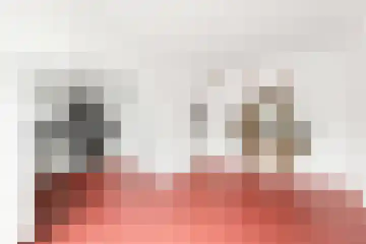 Bree 12 Middelburg thumbnail 7