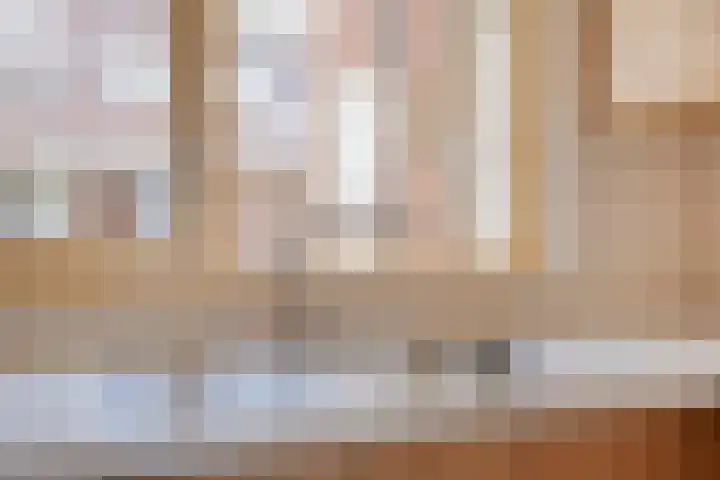 Bree 12 Veldhoven thumbnail 12