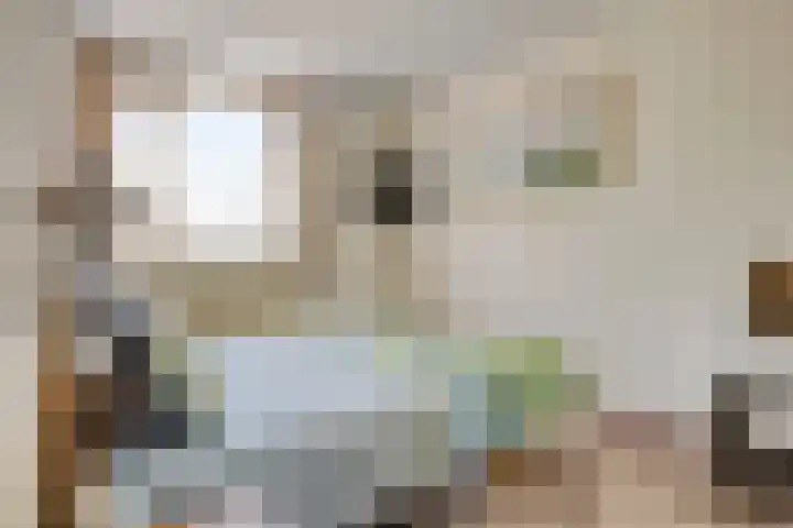 Bree 12 Veldhoven thumbnail 16
