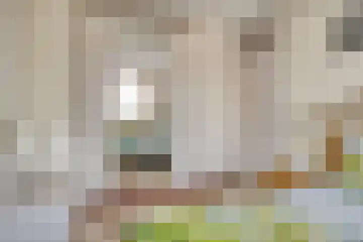 Bree 12 Veldhoven thumbnail 17