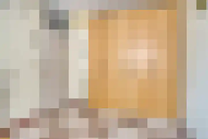 Bree 12 Veldhoven thumbnail 20