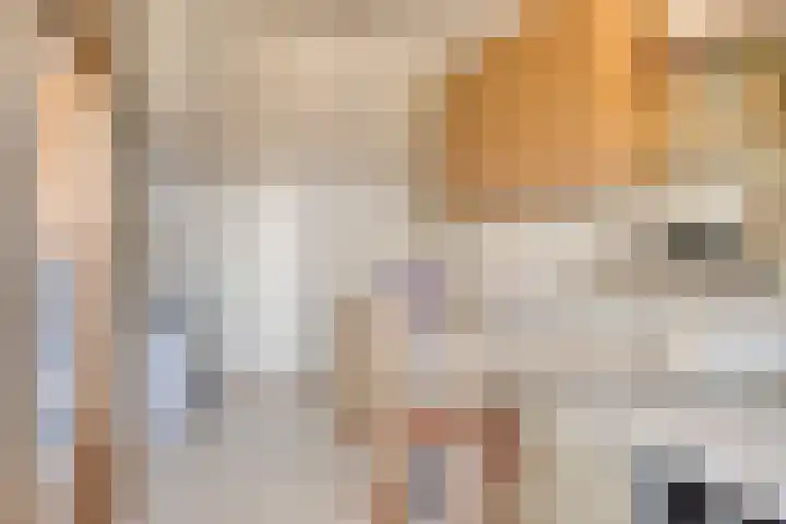 Bree 12 Veldhoven thumbnail 22
