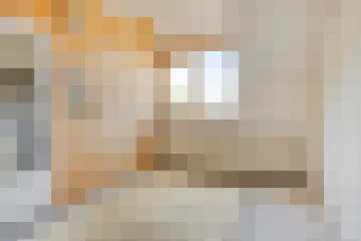 Bree 12 Veldhoven thumbnail 24