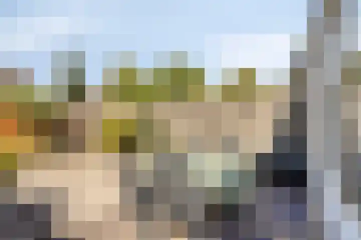 Bree 12 Veldhoven thumbnail 26