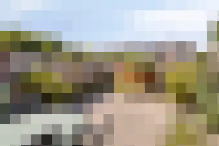 Bree 12 Veldhoven thumbnail 34