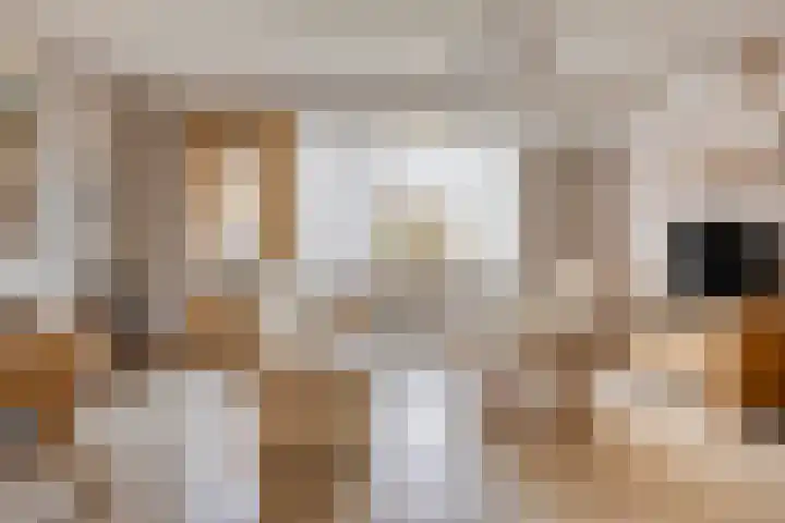 Bree 12 Veldhoven thumbnail 4