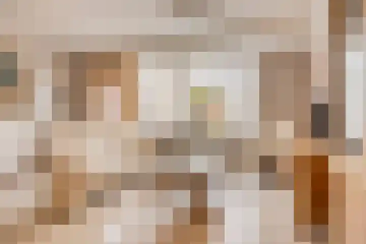 Bree 12 Veldhoven thumbnail 5