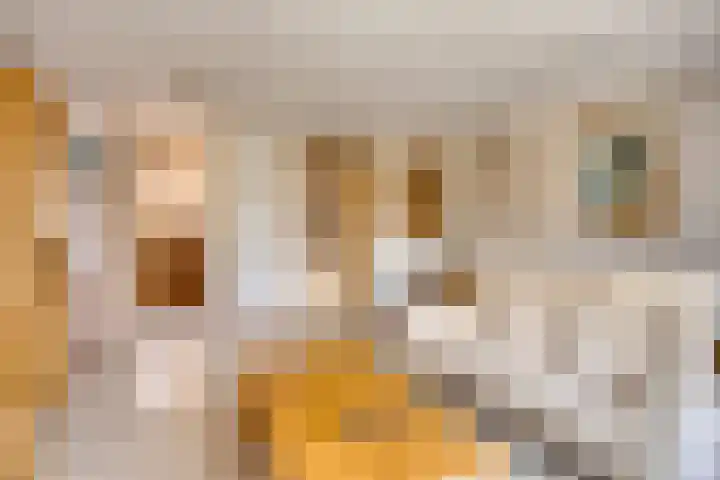 Bree 12 Veldhoven thumbnail 6