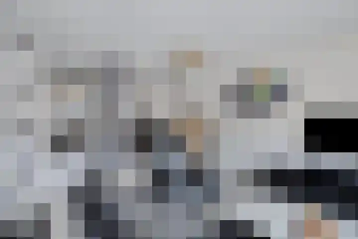 Bree 20 Veldhoven thumbnail 15