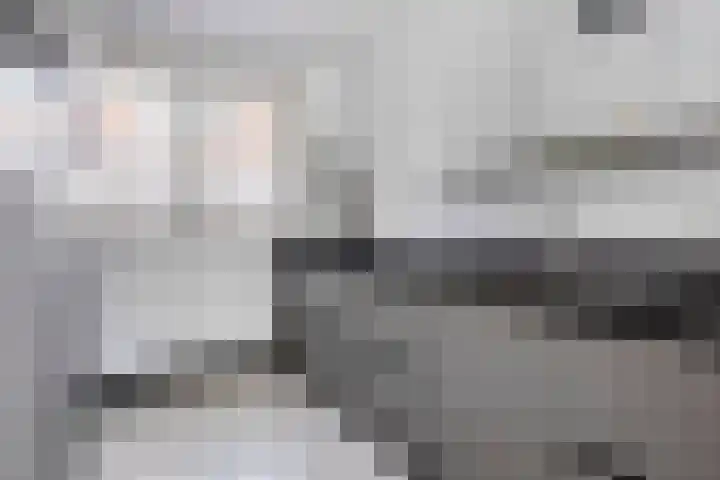 Bree 20 Veldhoven thumbnail 20
