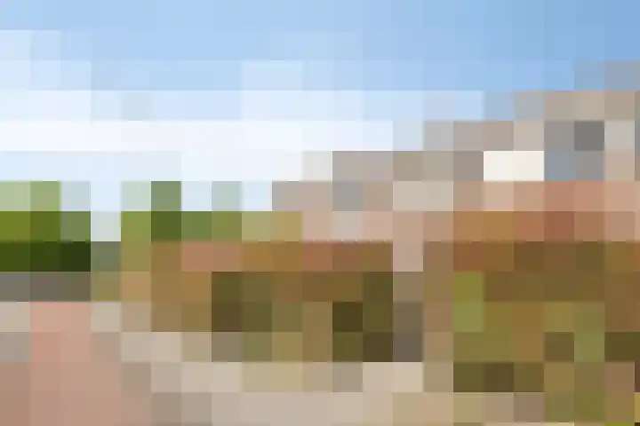 Bree 20 Veldhoven thumbnail 39