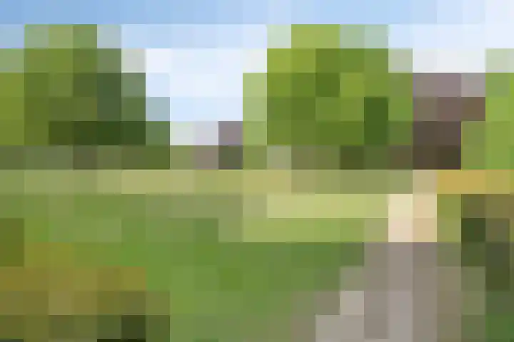 Bree 20 Veldhoven thumbnail 42