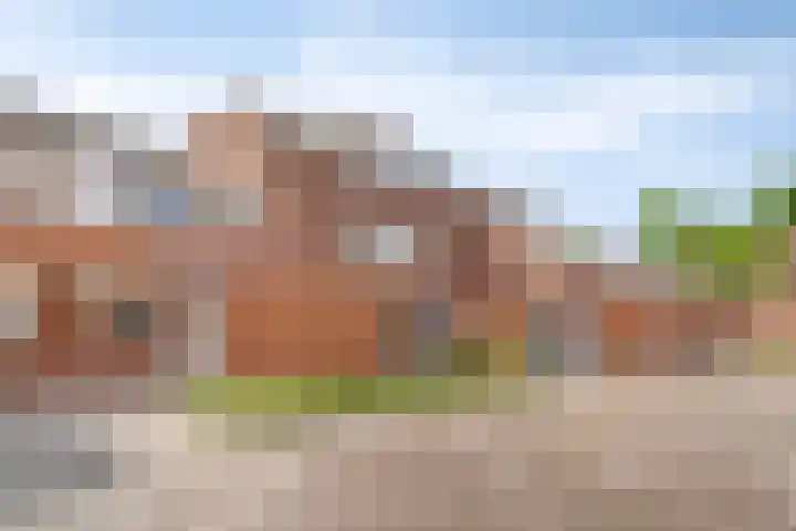 Bree 20 Veldhoven thumbnail 5