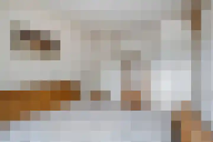 Bree 24 Veldhoven thumbnail 15
