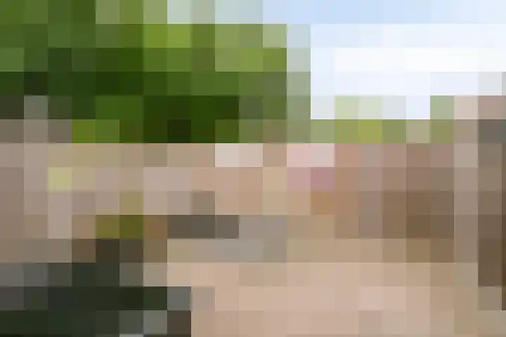 Bree 24 Veldhoven thumbnail 23