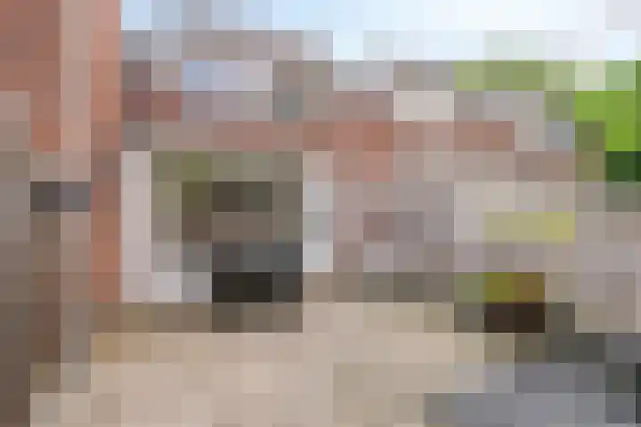 Bree 24 Veldhoven thumbnail 24
