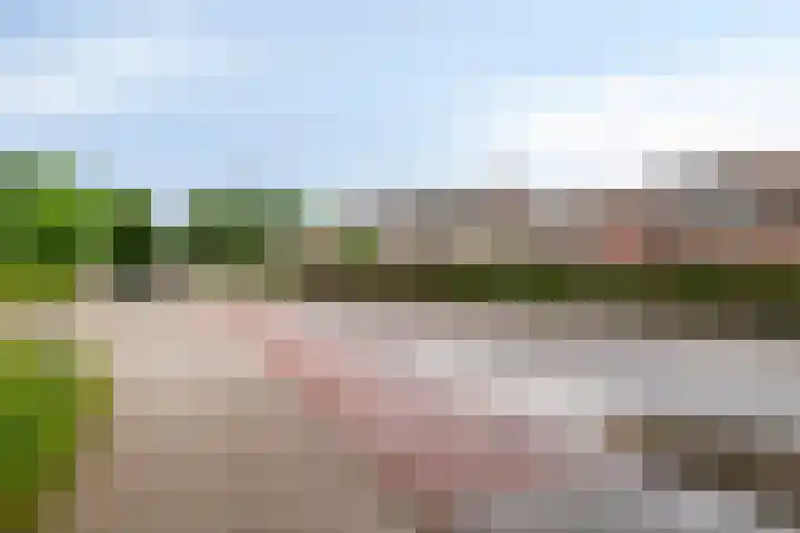 Bree 24 Veldhoven thumbnail 26