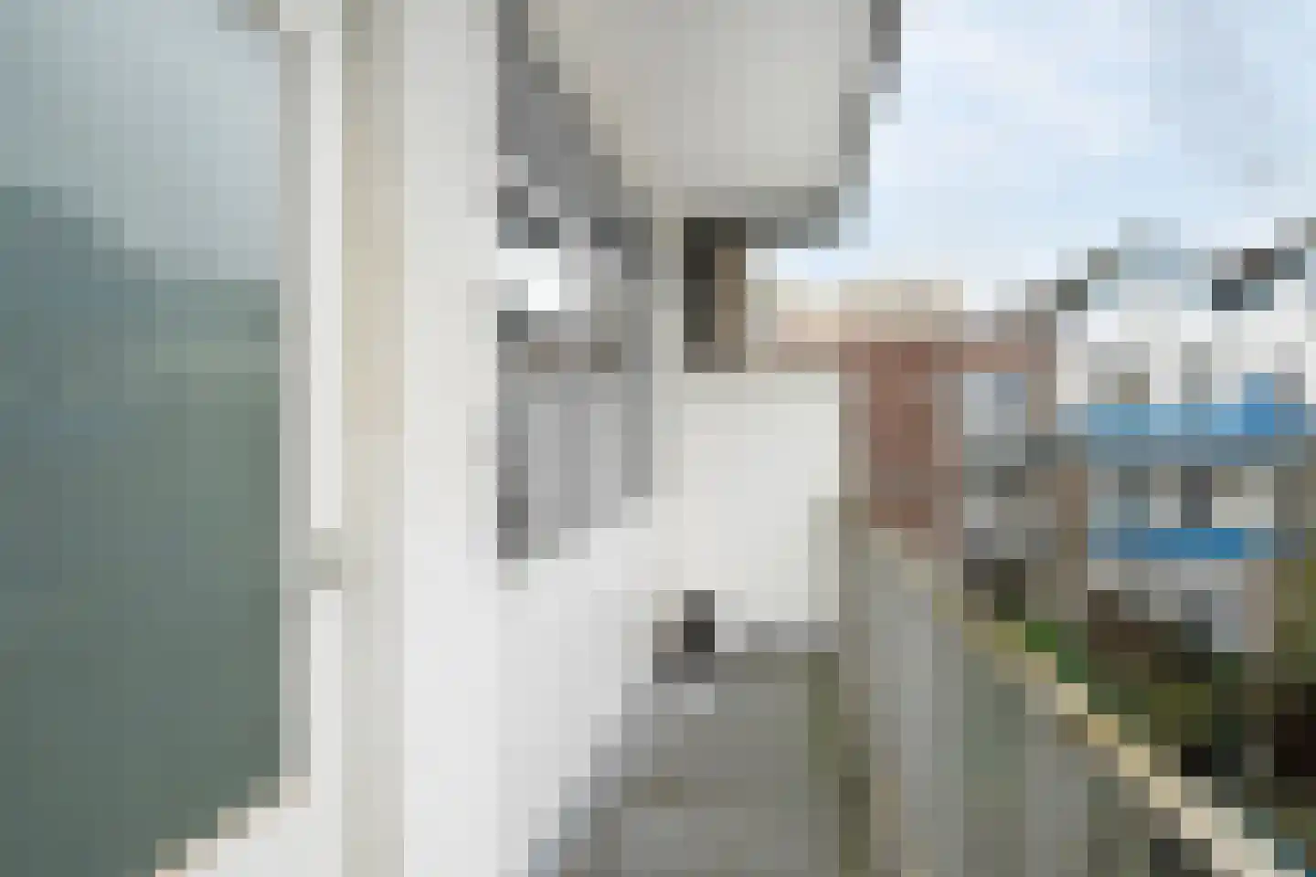 Bree 29 B Rotterdam thumbnail 11