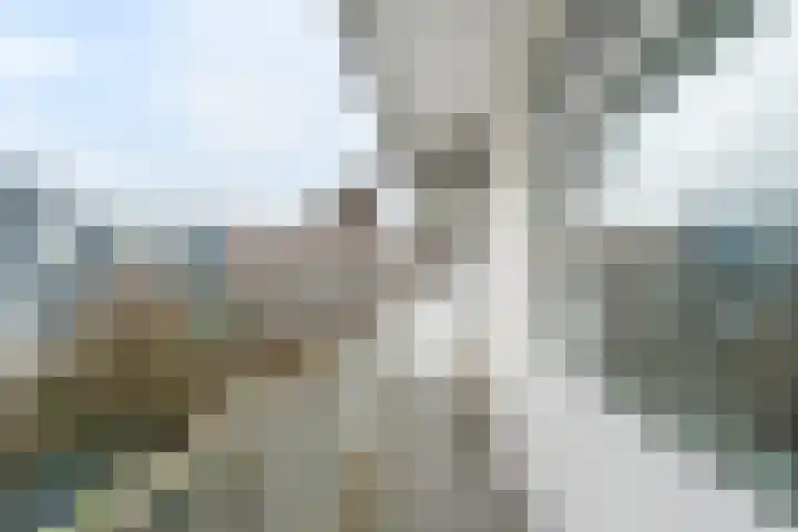 Bree 29 B Rotterdam thumbnail 8