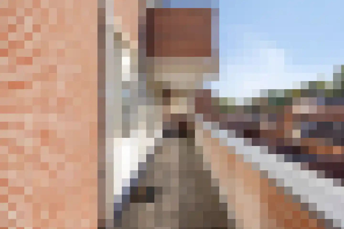 Bree 45 Veldhoven thumbnail 4