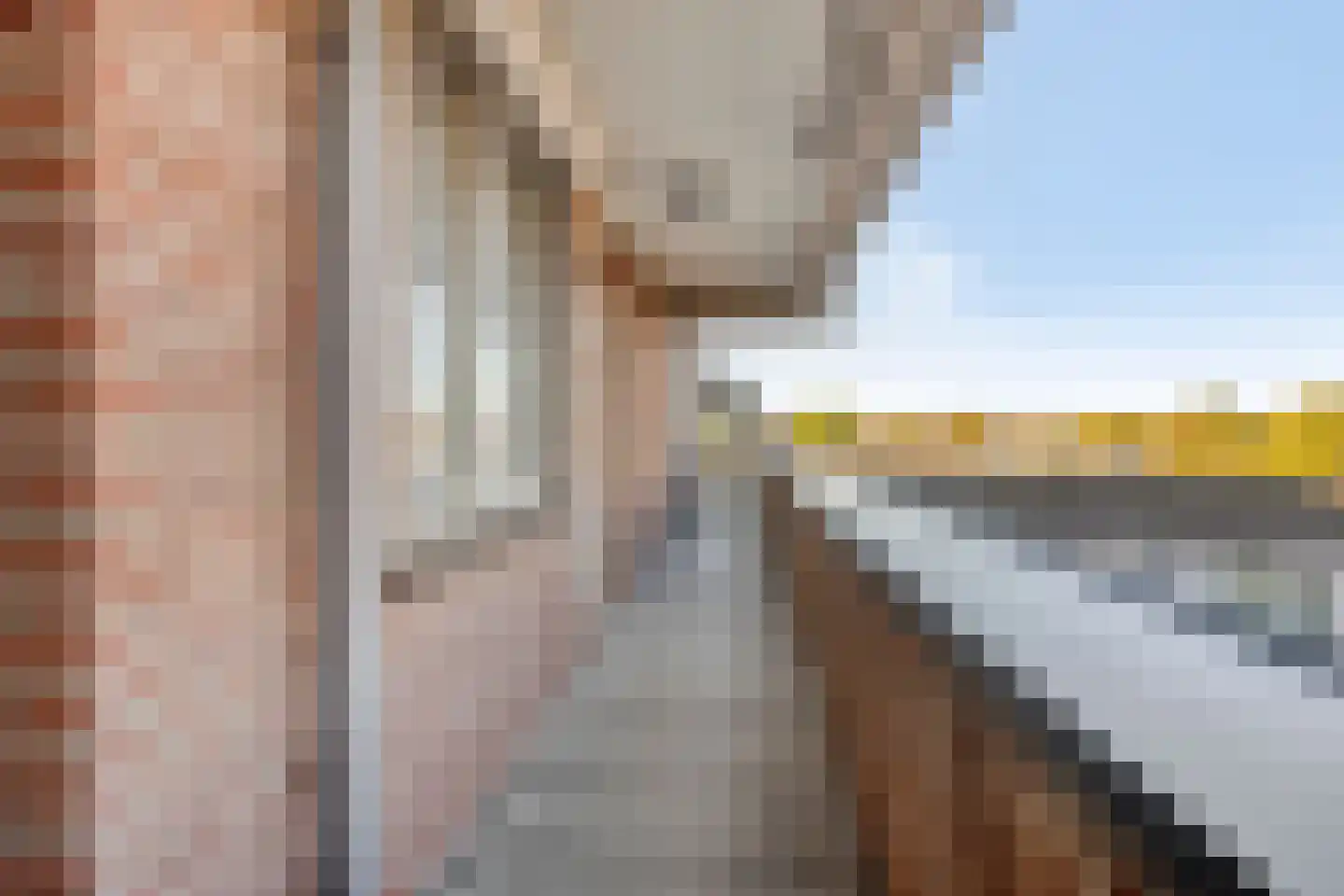 Bree 45 Veldhoven thumbnail 6