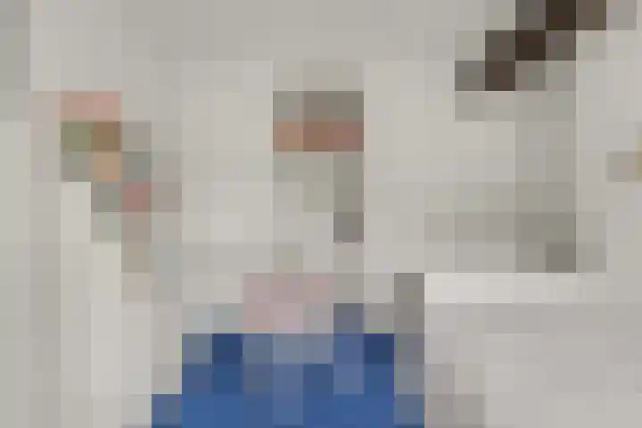 Bree 48 Middelburg thumbnail 22