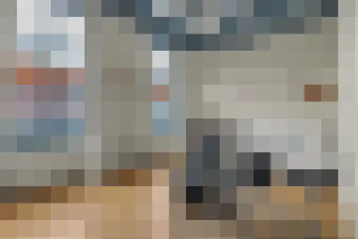 Bree 48 Middelburg thumbnail 23