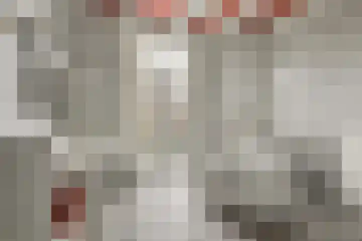 Bree 48 Middelburg thumbnail 24