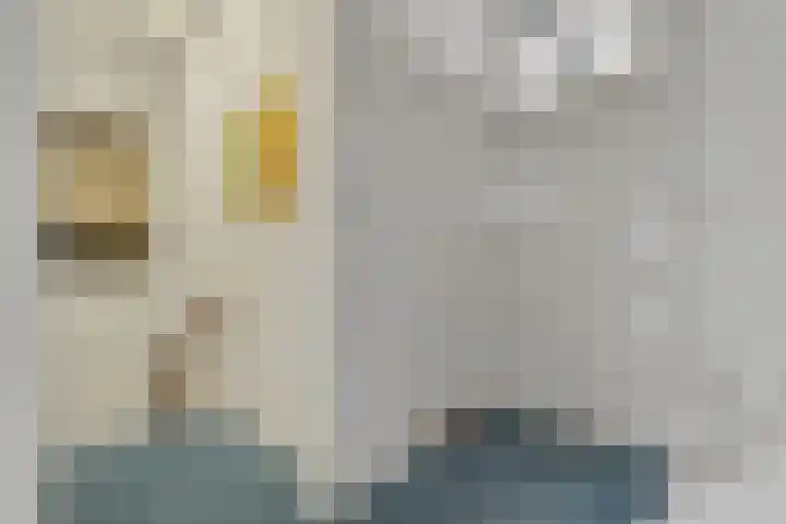 Bree 48 Middelburg thumbnail 27