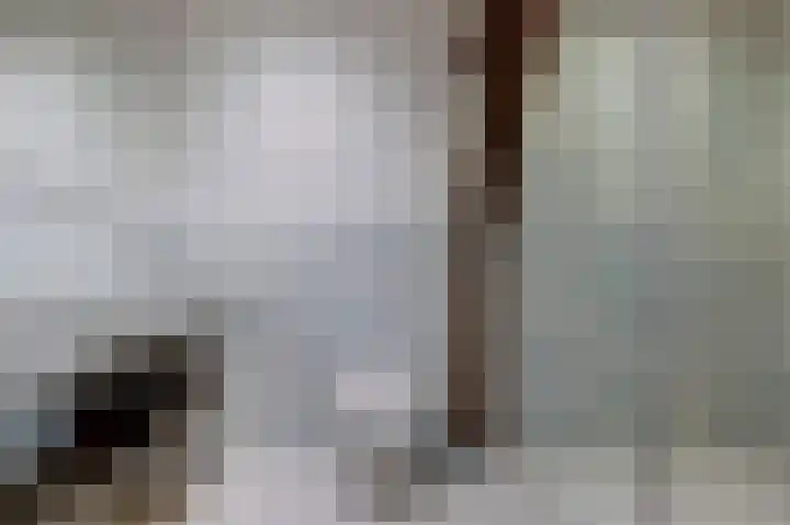 Bree 48 Middelburg thumbnail 35