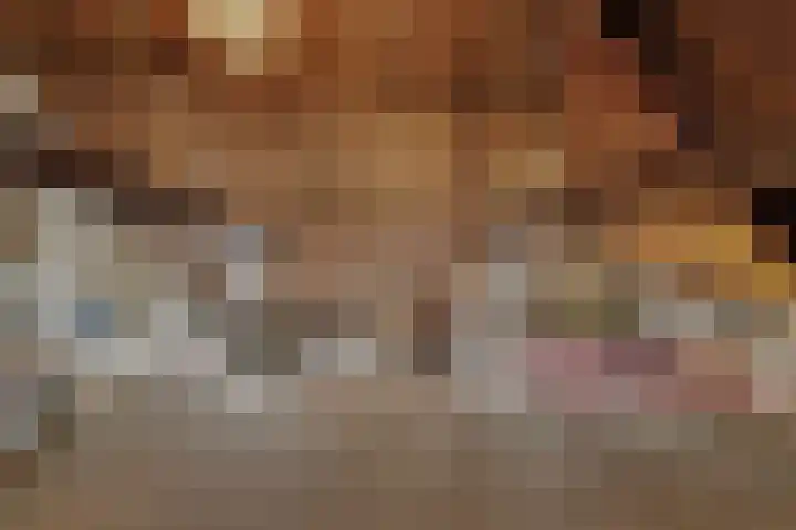 Bree 48 Middelburg thumbnail 38
