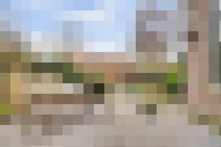 Bree 48 Middelburg thumbnail 43