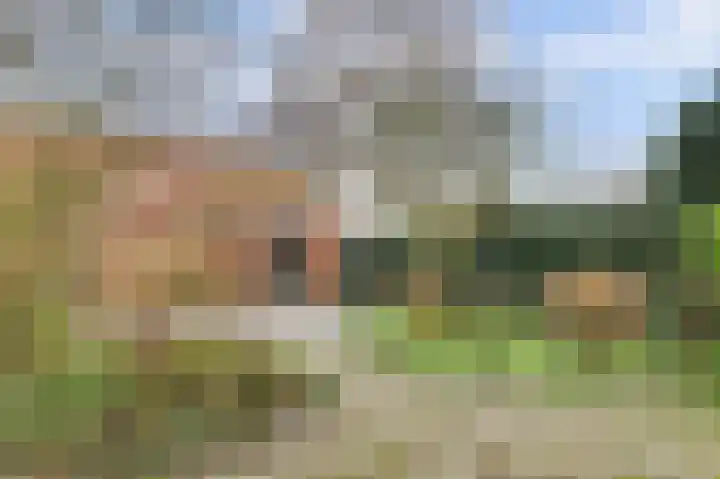 Bree 48 Middelburg thumbnail 45
