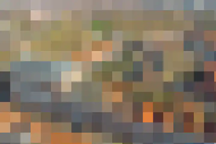 Bree 48 Middelburg thumbnail 48
