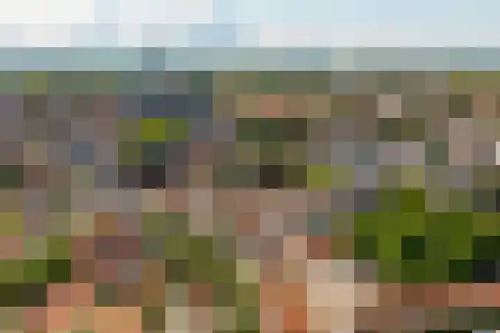 Bree 5 A Middelburg thumbnail 13