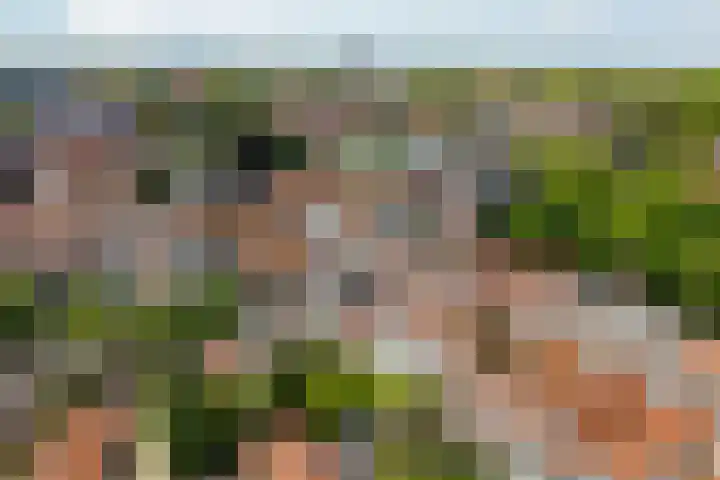 Bree 5 A Middelburg thumbnail 14