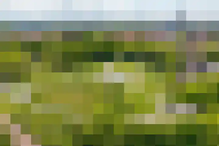 Bree 5 B Middelburg thumbnail 4