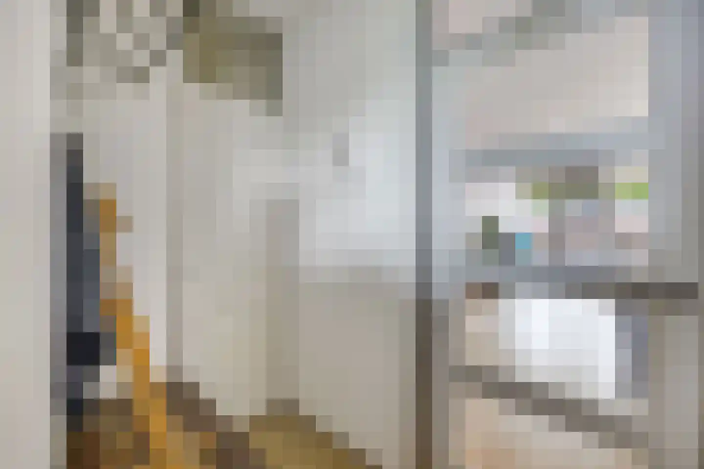 Bree 57 Veldhoven thumbnail 11