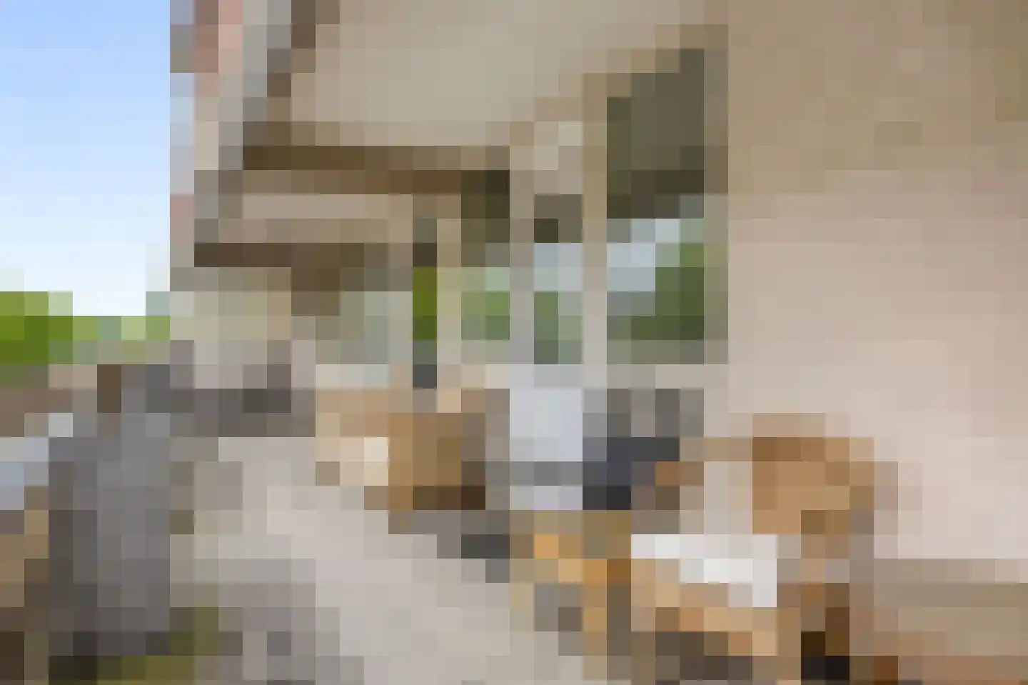 Bree 57 Veldhoven thumbnail 35